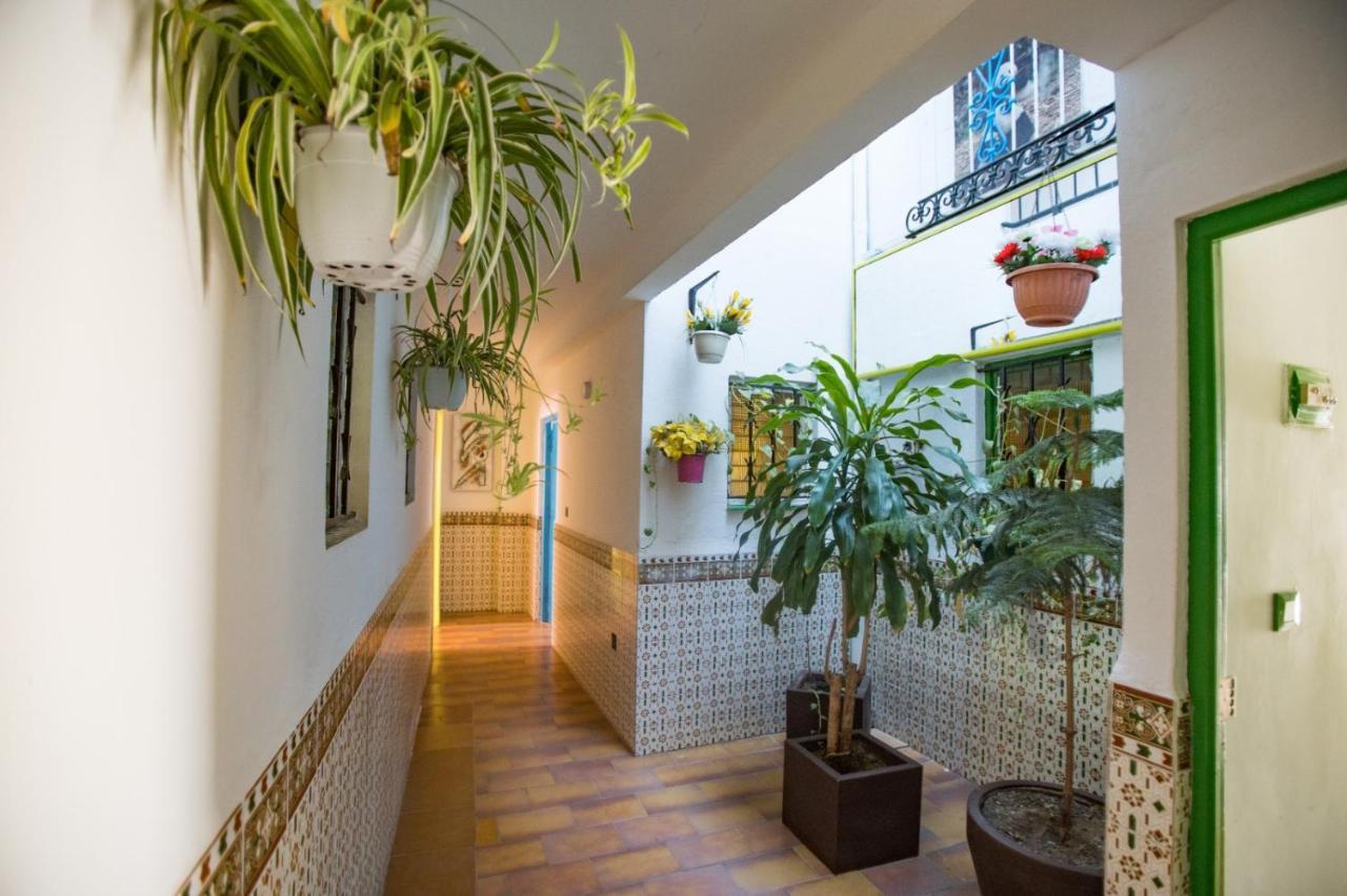 Apartamentos Carihuela トレモリノス エクステリア 写真